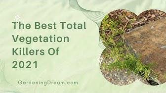 'Video thumbnail for The Best Total Vegetation Killers Of 2021'