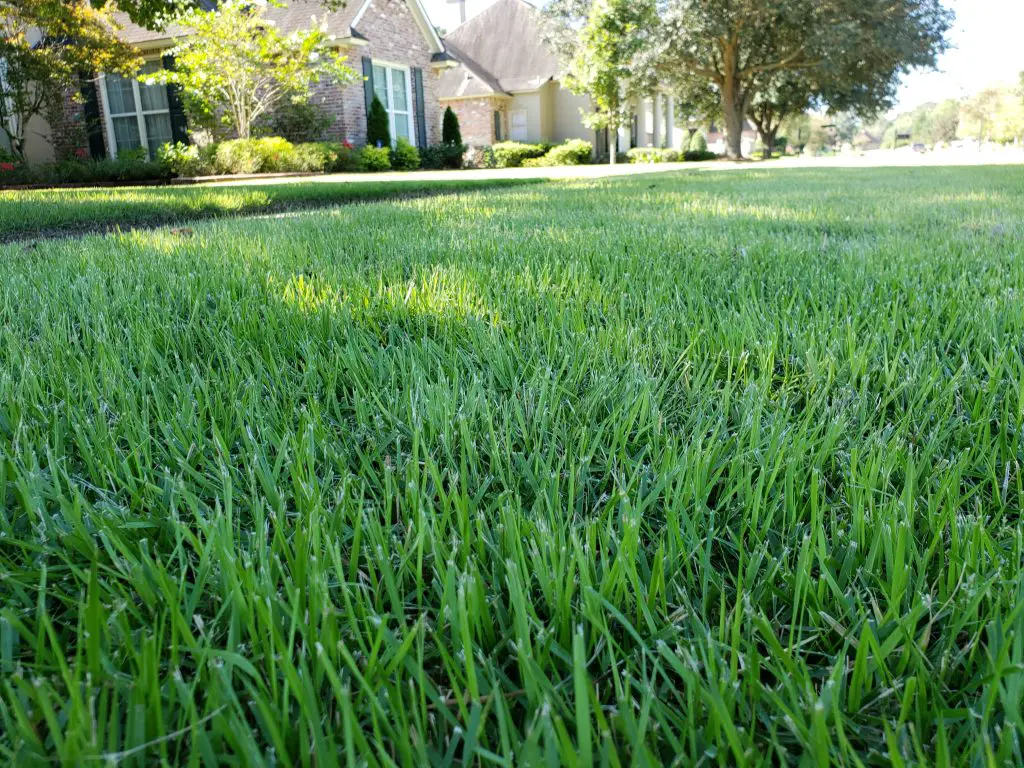 Baton Rouge Sod - sod for sale, delivery, and sod installation
