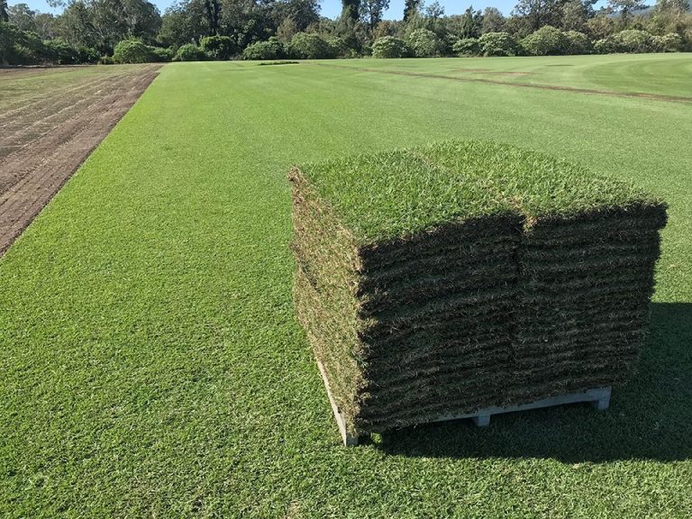 How Much Does A 500 Square Feet Pallet Of Sod Weigh