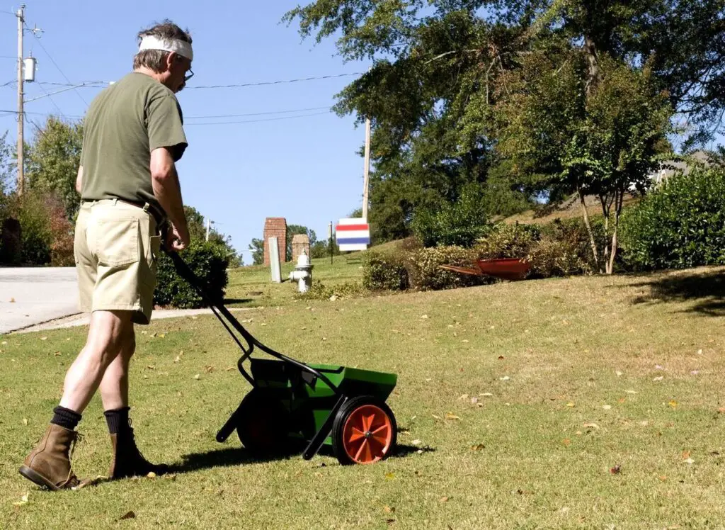 granular lawn fertilizer service - granular lawn weed herbicide treatment