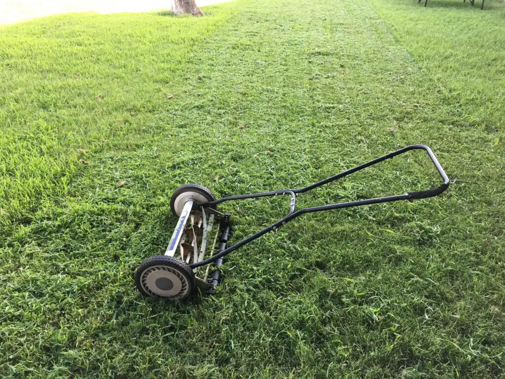 manual push mower organic lawn maintenance
