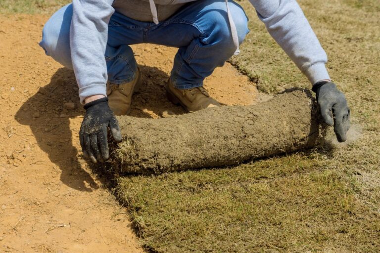 Autumn Sod Installation: Can You Lay Sod In The Fall
