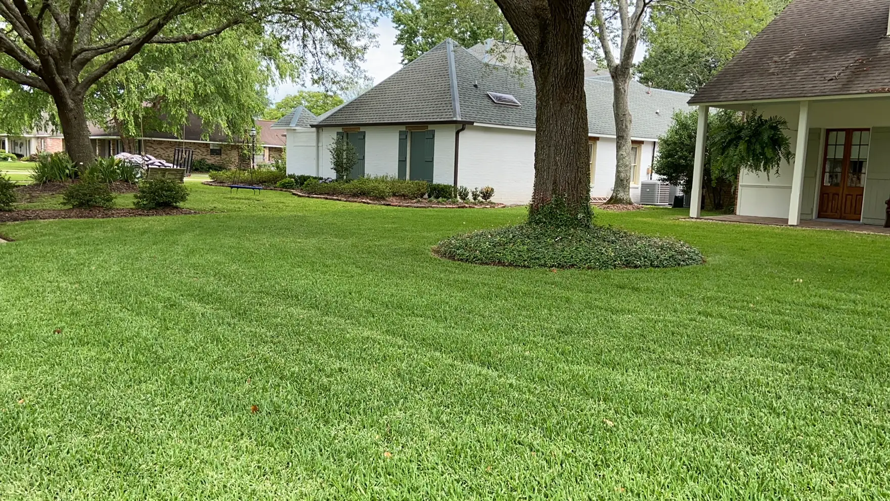 Best Grass For Shade And Shaded Areas