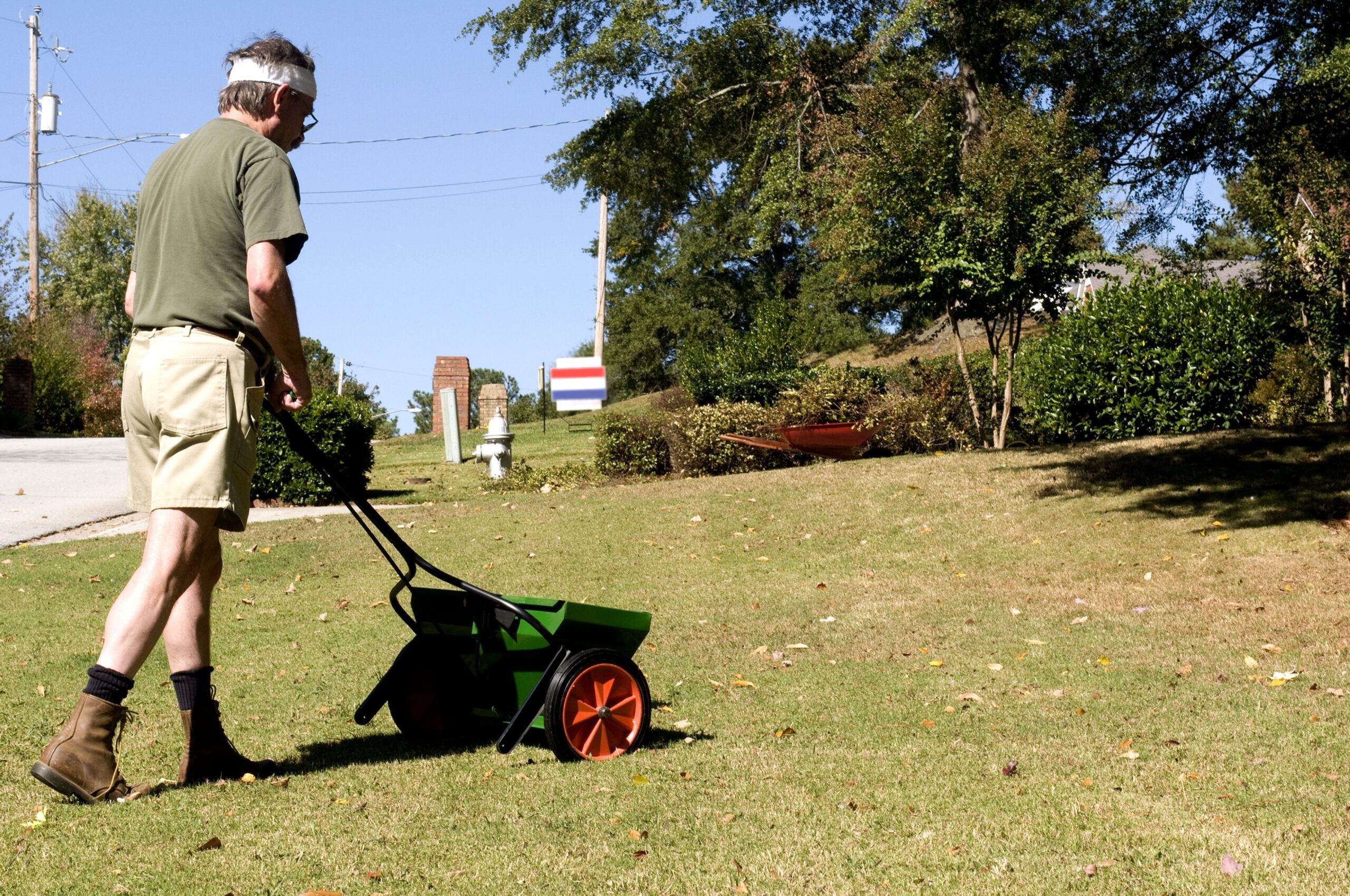 lawn-fertilizer-service