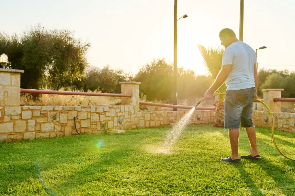 man watering lawn grass