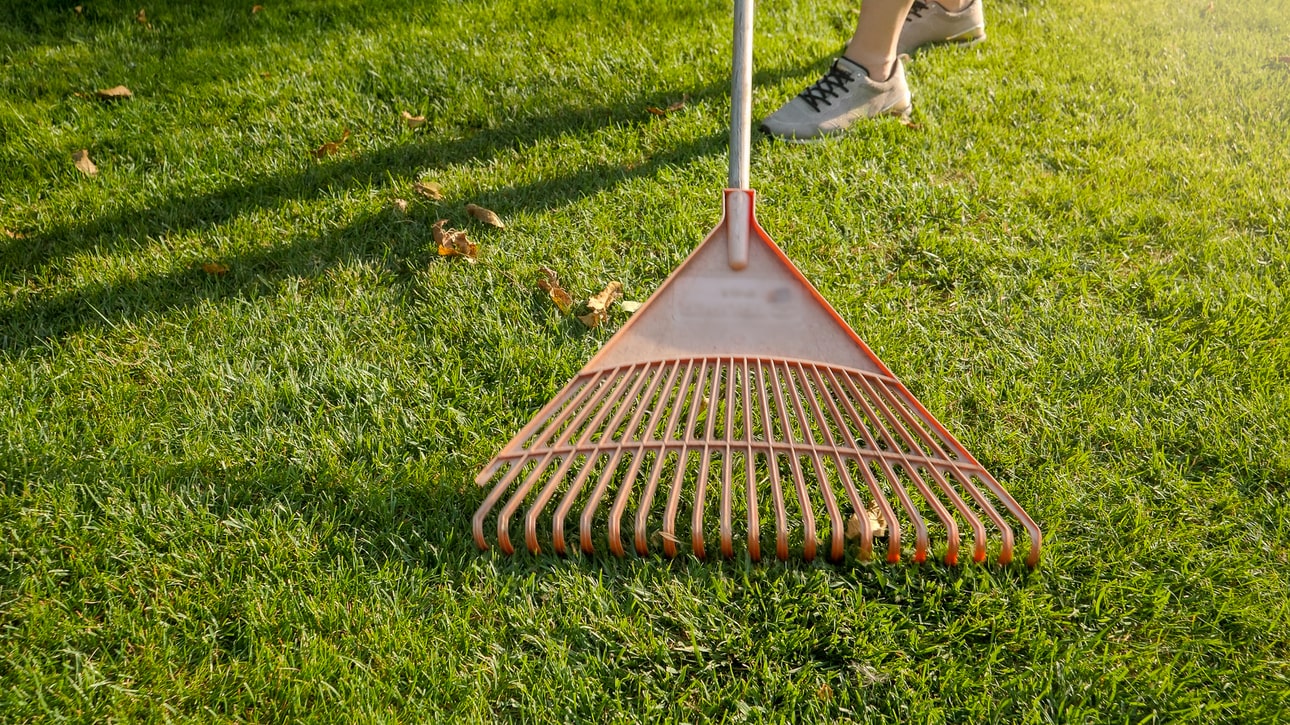 Baton Rake Can You Lay Sod In The Fall? | Autumn Sod Installation | Baton Rouge Sod