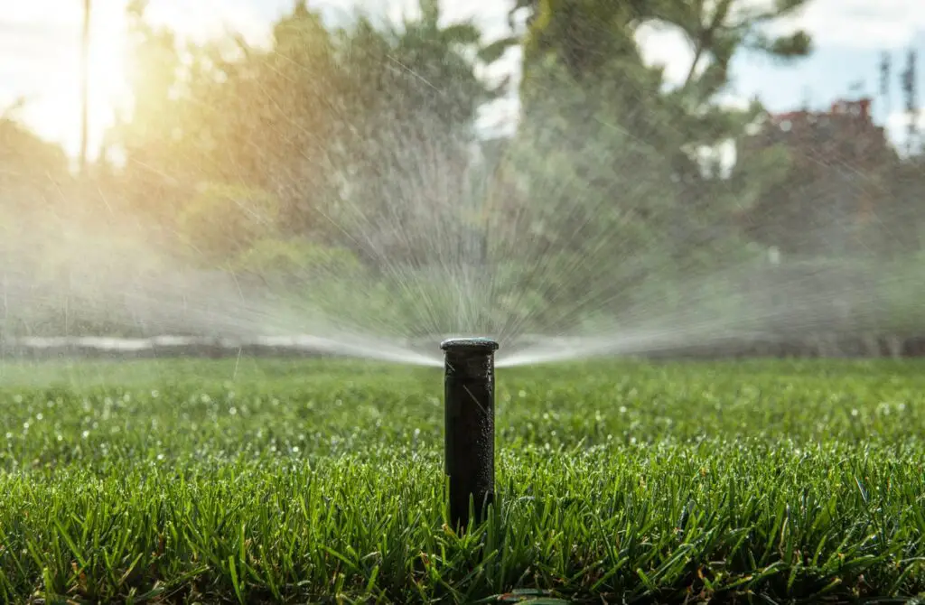 - best sprinklers for new sod grass. lawn sprinklers and irrigation system