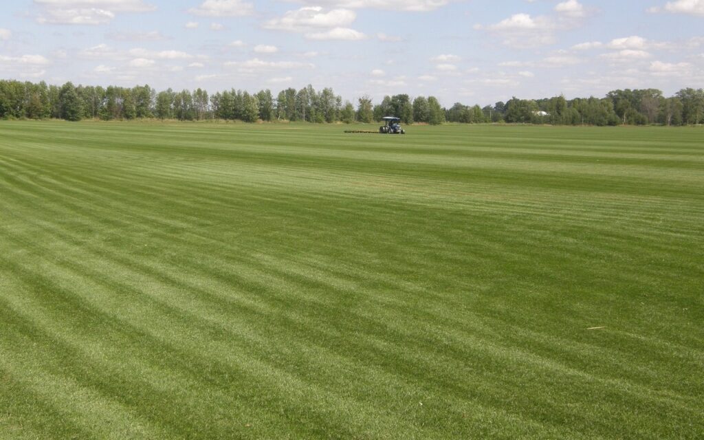 Sod Farms Near Me Find A Sod Farm