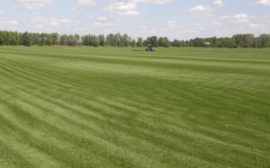 sod farms near me - grass farms near me