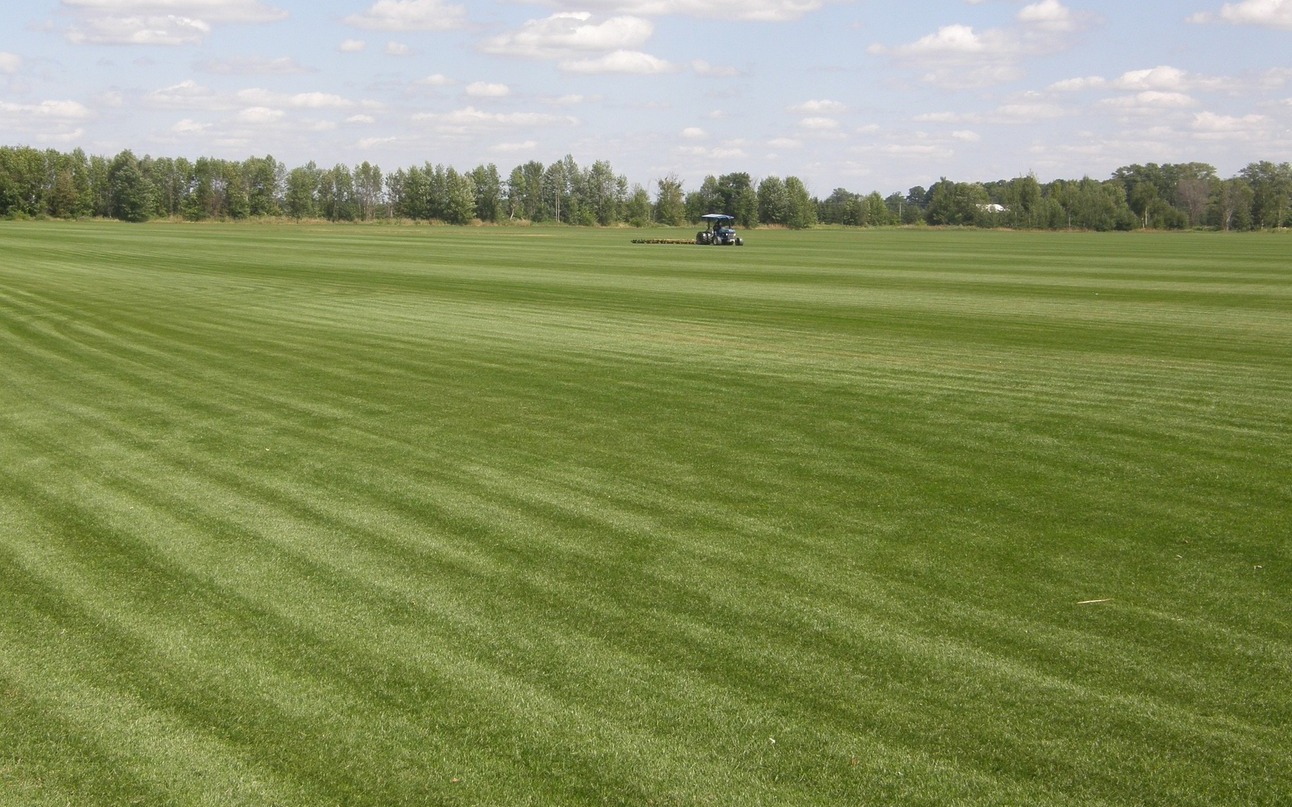 sod-farms-near-me-find-a-sod-farm