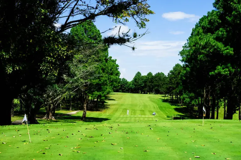 What Is Spoon Feeding Lawn?