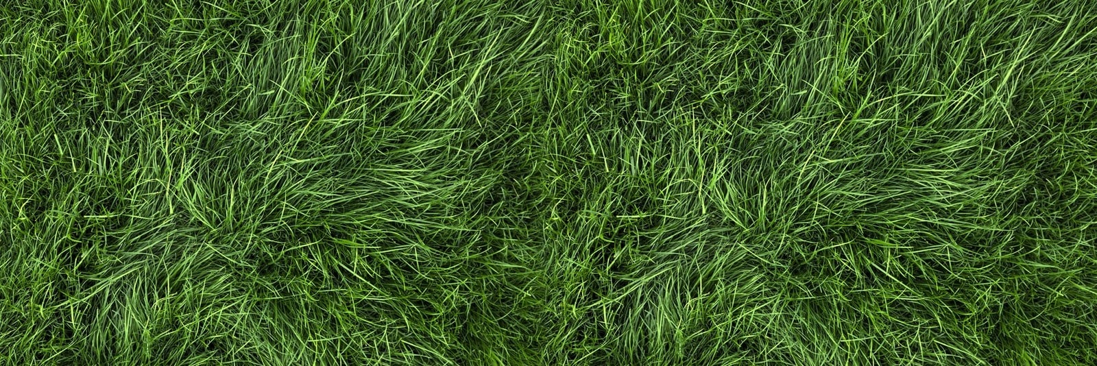 Zoysia sod delivery and pricing in Baton Rouge